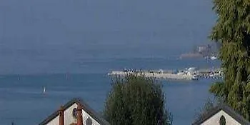 Vecchio Viola Peschiera del Garda